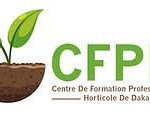 logo cfhc